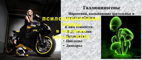 эйфоретик Пересвет
