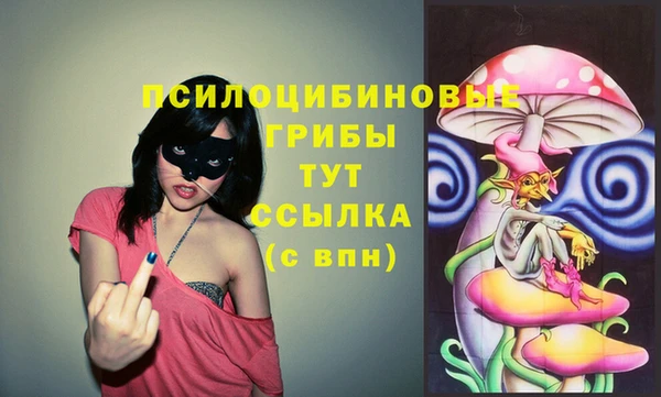 эйфоретик Пересвет
