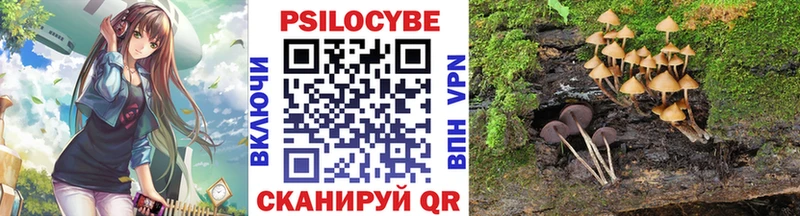 blacksprut tor  Зеленодольск  Галлюциногенные грибы прущие грибы  закладка 